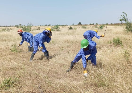 Reboisement dans le département du Logone et Chari : le PROLAC Cameroun à pied d’œuvre