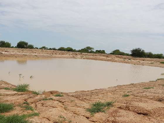 Des mares artificielles pour les populations locales
